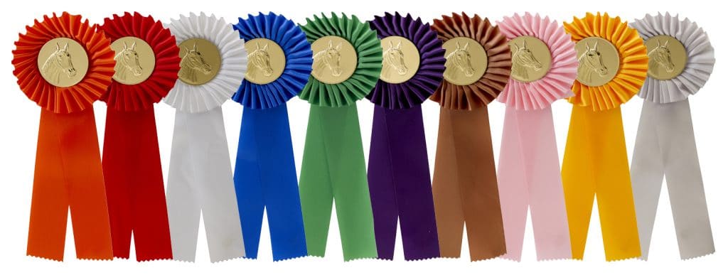 Paperclip Sportprijzen