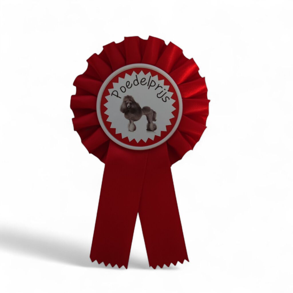 Paperclip Sportprijzen