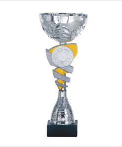 Zilveren beker met blauw