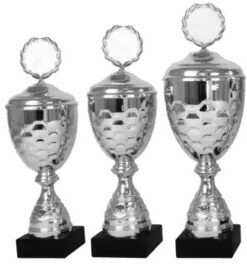 Alternative view of Zilveren beker