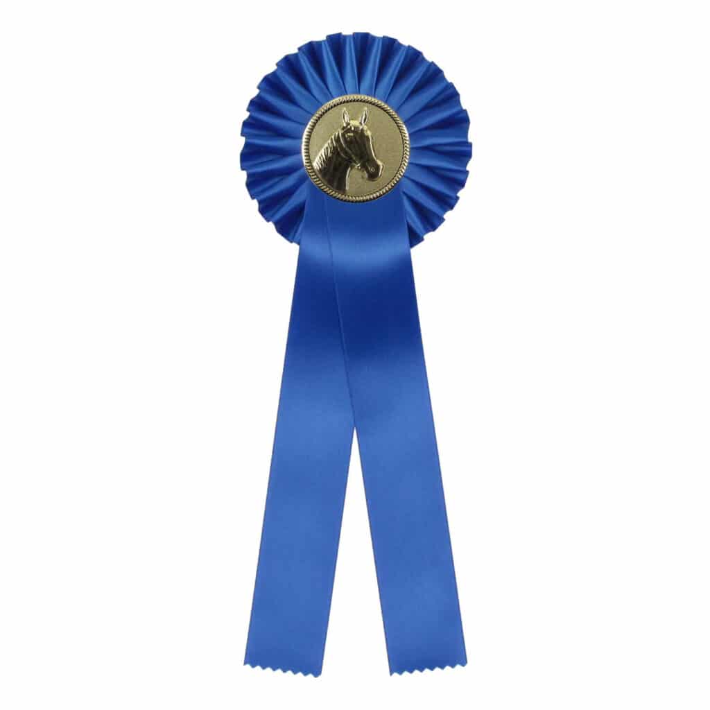 Paperclip Sportprijzen