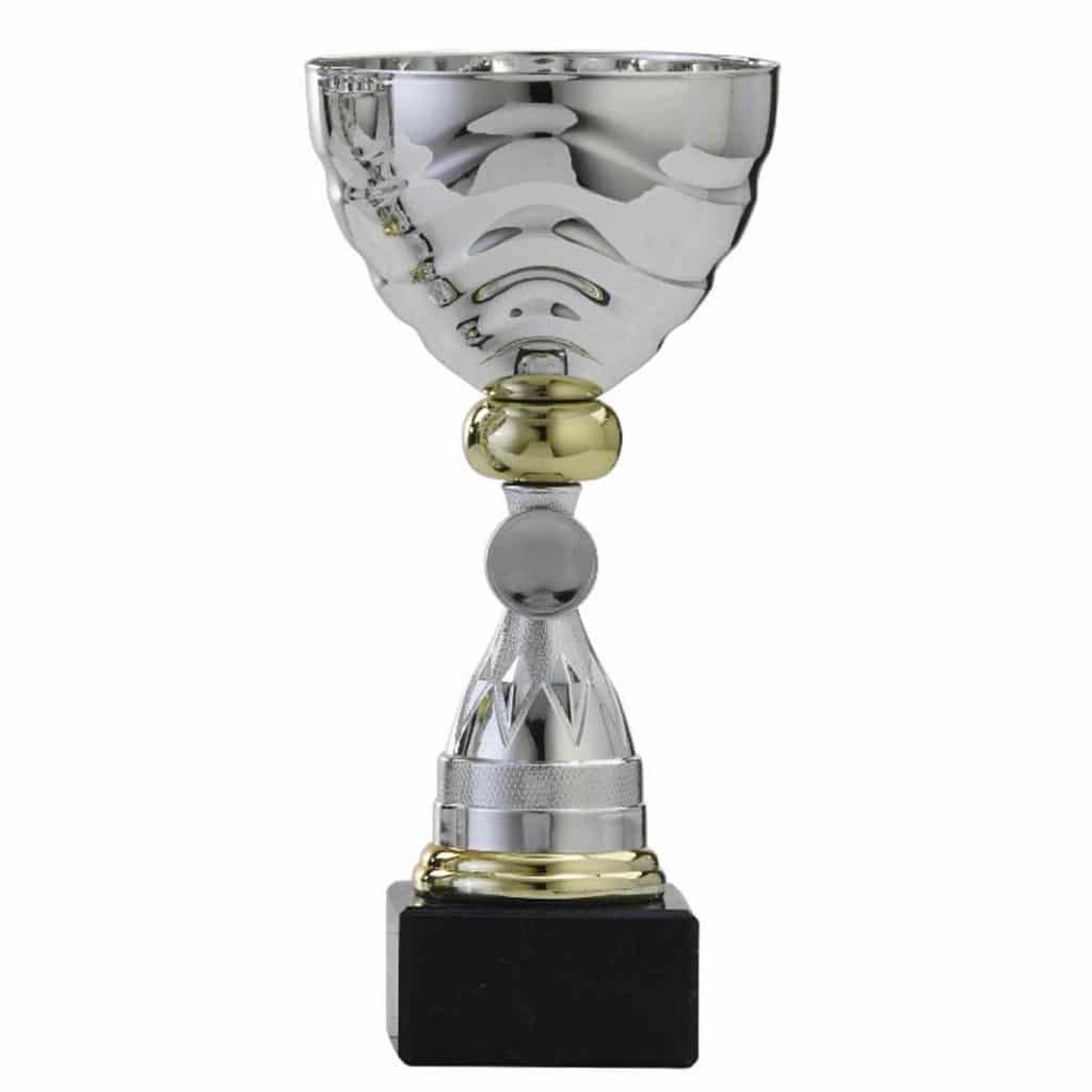 Paperclip Sportprijzen