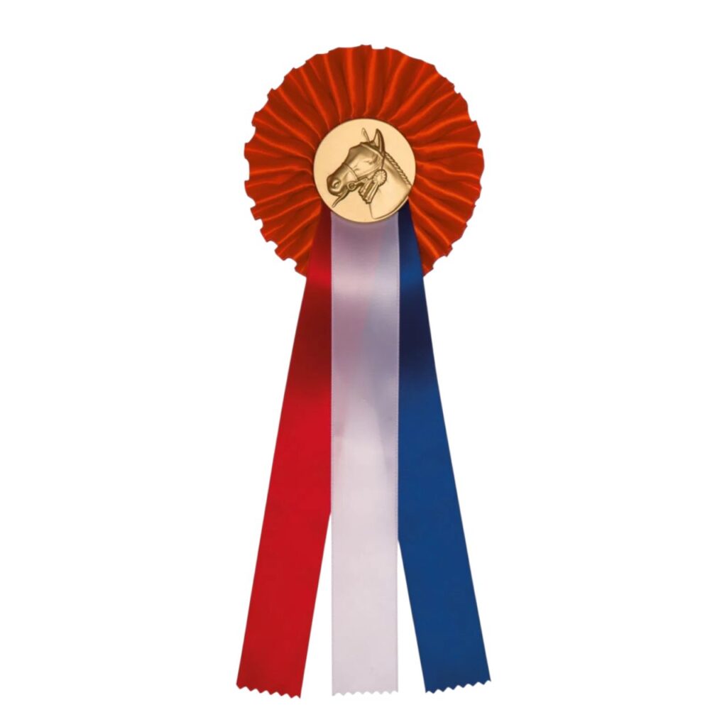 Paperclip Sportprijzen