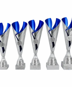 Alternative view of Middelgrote trofee met blauw