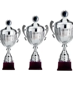 Alternative view of Stoere wisselbeker met deksel