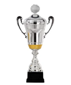 Grote Beker Zilver met goud