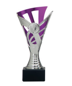 Kleine budgetbeker met zilver en paars