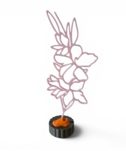 Alternative view of Vierdaagse Gladiool